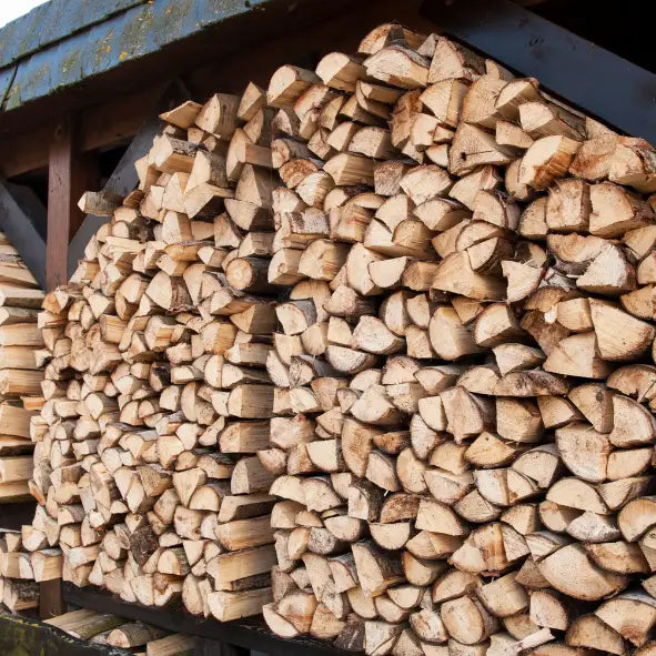 5 Gründe, warum Sie bereits im Sommer Ihr Winterholz aufstocken sollten