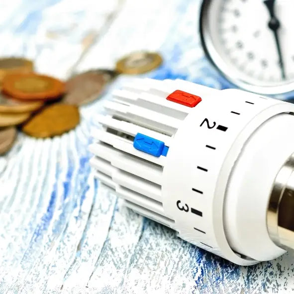 Brennholz im Vergleich zu Öl, Wärmepumpen und Pellets: Eine umfassende Analyse