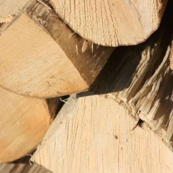 Holzkauf in Zeiten knapper Ressourcen: So trotzen Sie hohen Preisen und leeren Märkten