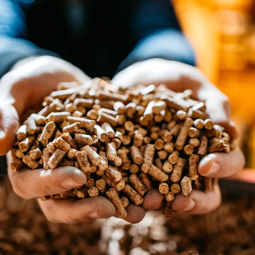 Warum sind Eichen Pellet die bessere Alternative zu Nadelholz Pellet?