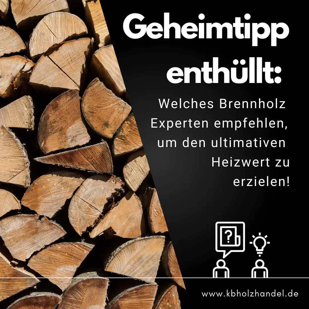 Welches Brennholz hat den besten Heizwert? Eine umfassende Analyse