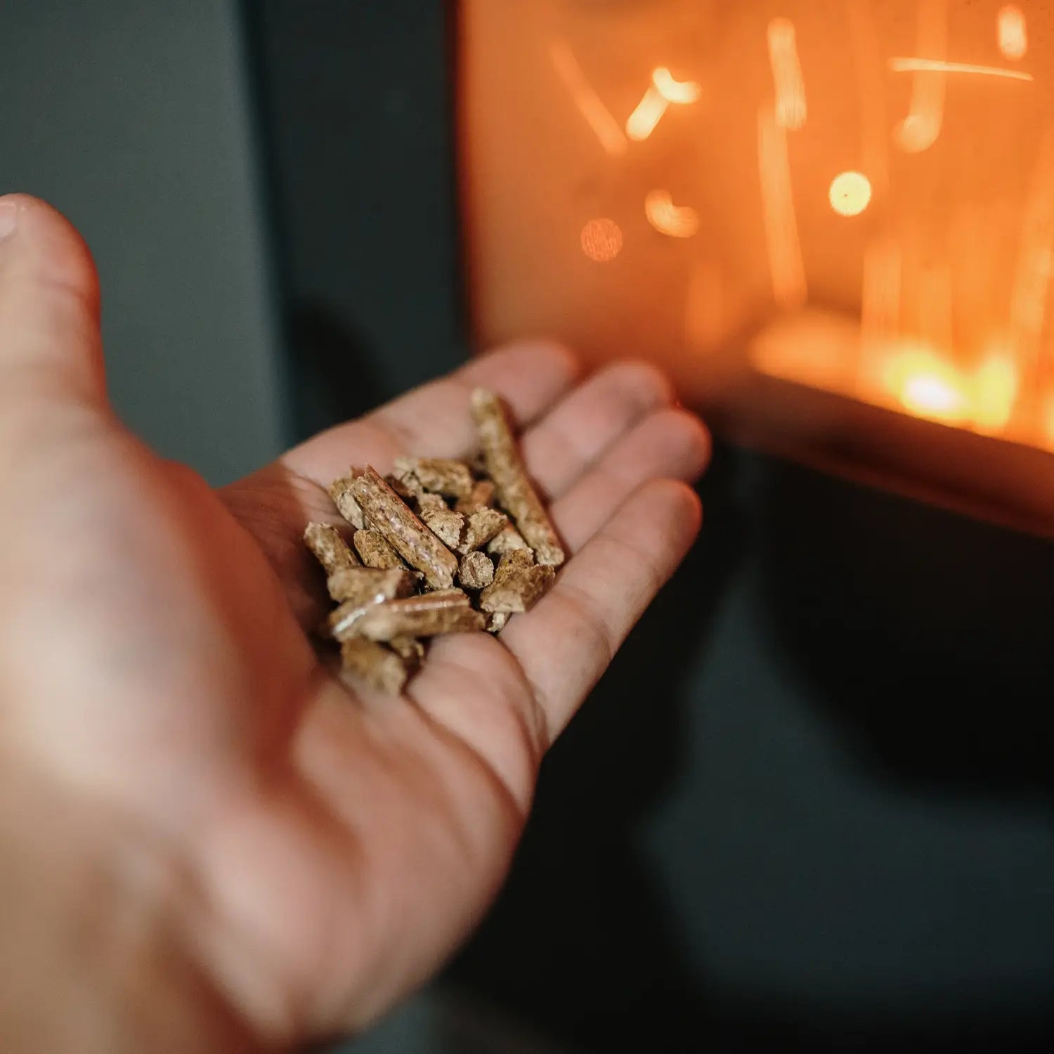 Willkommen in der Zukunft erneuerbarer Energien: Die Rolle der Pellettechnologie für nachhaltiges Leben