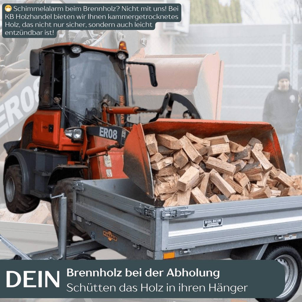 1 RM Brennholz Buche Kammergetrocknet - 25cm