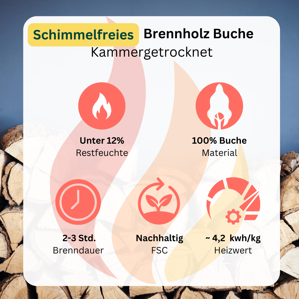 Brennholz_Buche_Kammergetrocknet_KB_Holzhandel