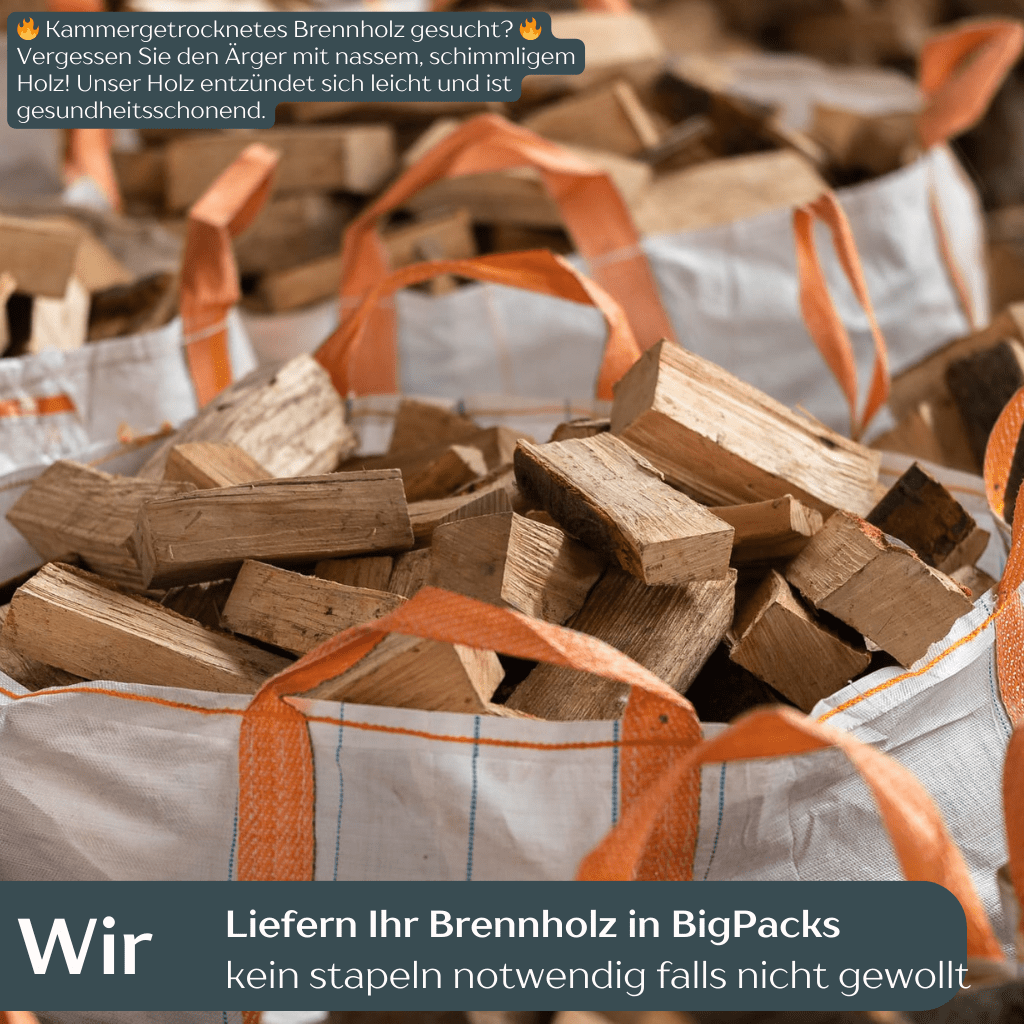 1 RM Brennholz Buche Kammergetrocknet - 25cm