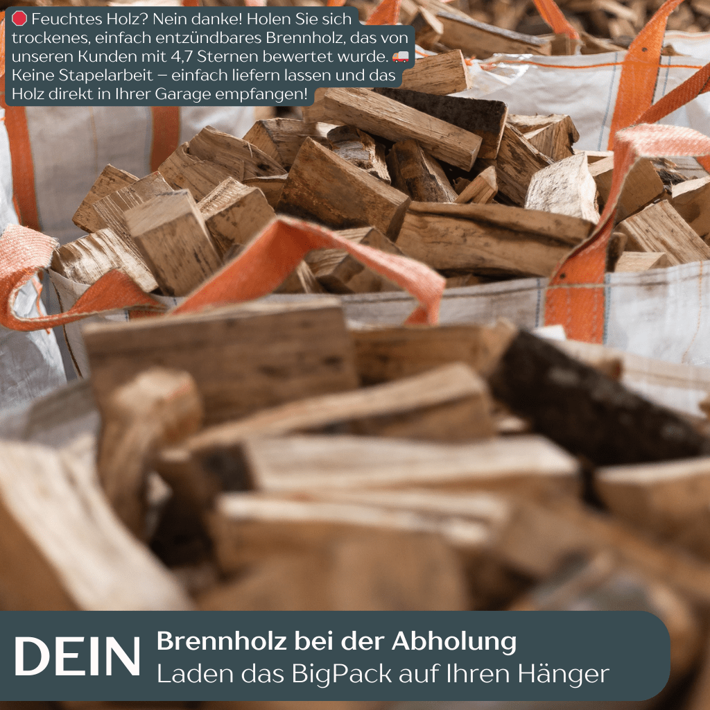 1 RM Brennholz Buche Kammergetrocknet - 25cm