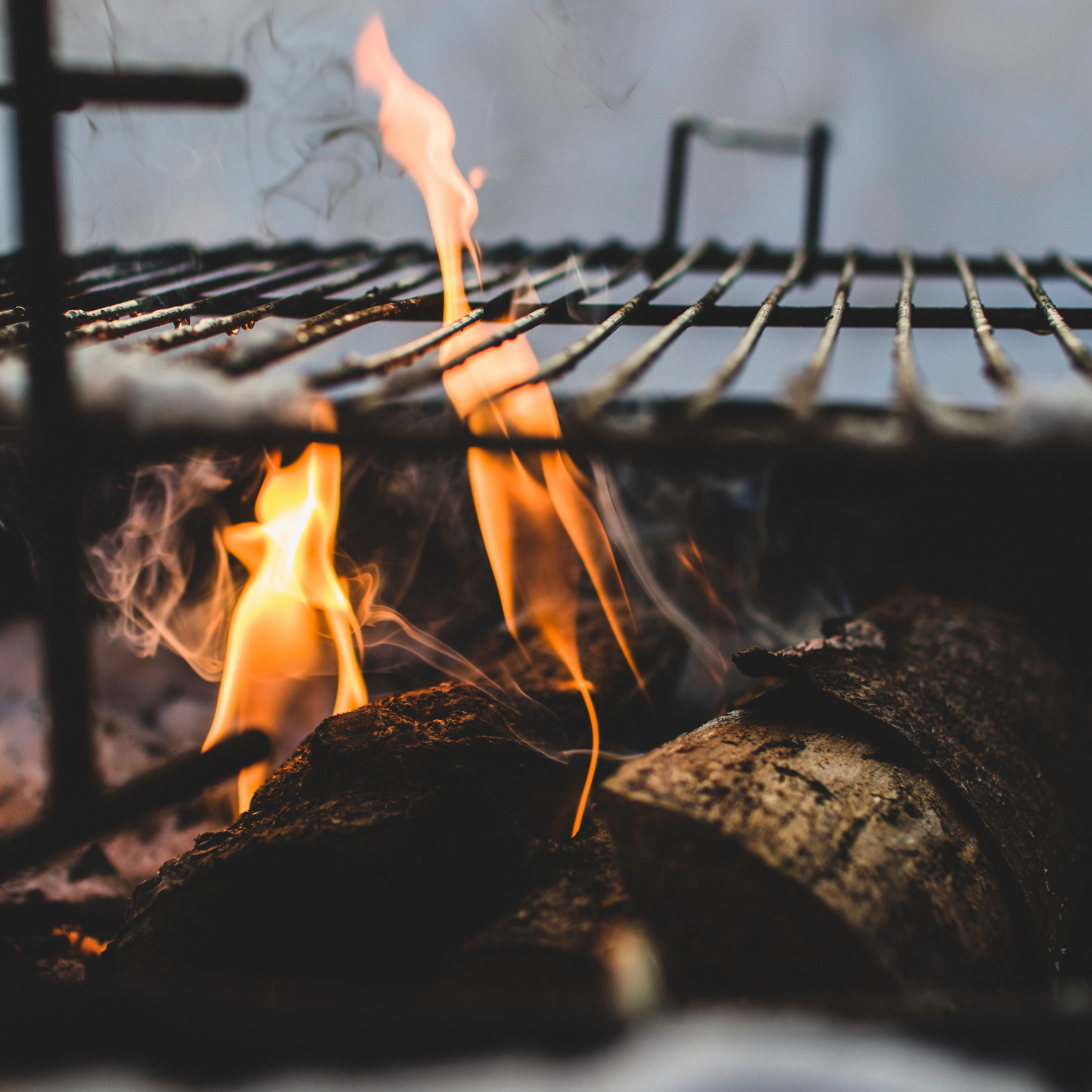 Grillholz Starter-Kit im Karton Buche/Eiche 10-20kg mit Anzündwolle und Anzündholz, Länge 25cm