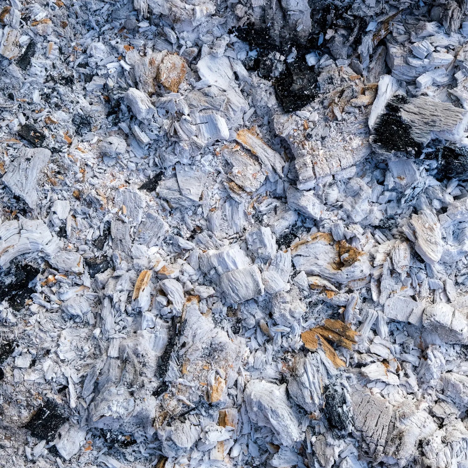 Revolutionierung des Recyclings: Die berraschenden Vorteile von  Kaminholzasche als nachhaltiger Dnger