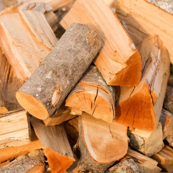 Warm durch den Winter: Warum kammergetrocknetes Brennholz Ihr Heizkostensparer Nr. 1 ist!