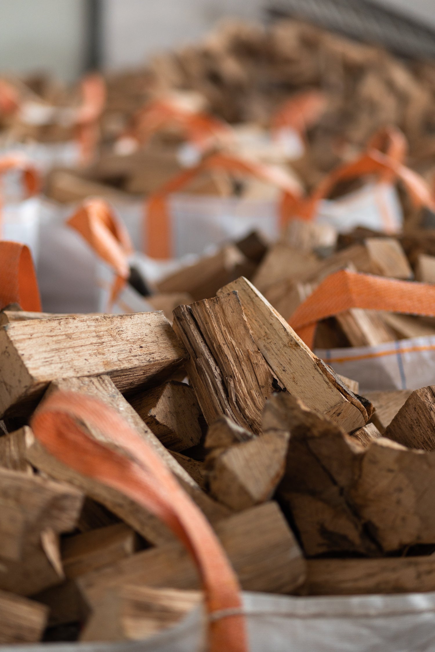 Wie unser kammergetrocknetes Brennholz aus Buche und Eiche Ihre Heizkosten senken kann